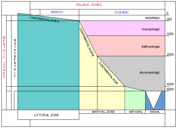 Map of Marine Depth Zones